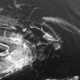 MARIO COSTANTINO TRIOLO - EVENT ART - Tina Sgro'