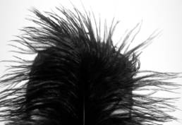 Tra arte e moda, il mondo couture di Mario Costantino Triolo